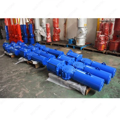 Scotch Yoke Type Actuator